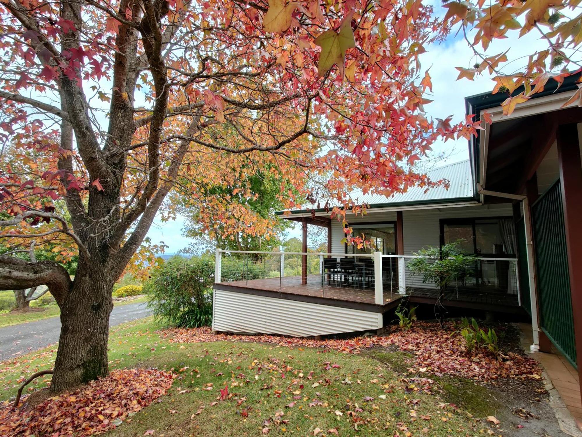 Karri Mia Chalets And Studios 덴마크 외부 사진