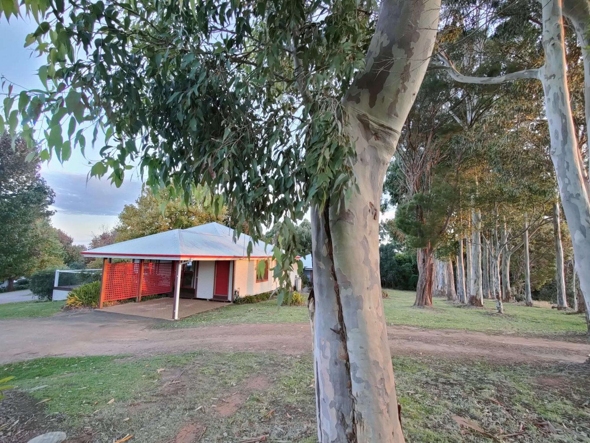 Karri Mia Chalets And Studios 덴마크 외부 사진