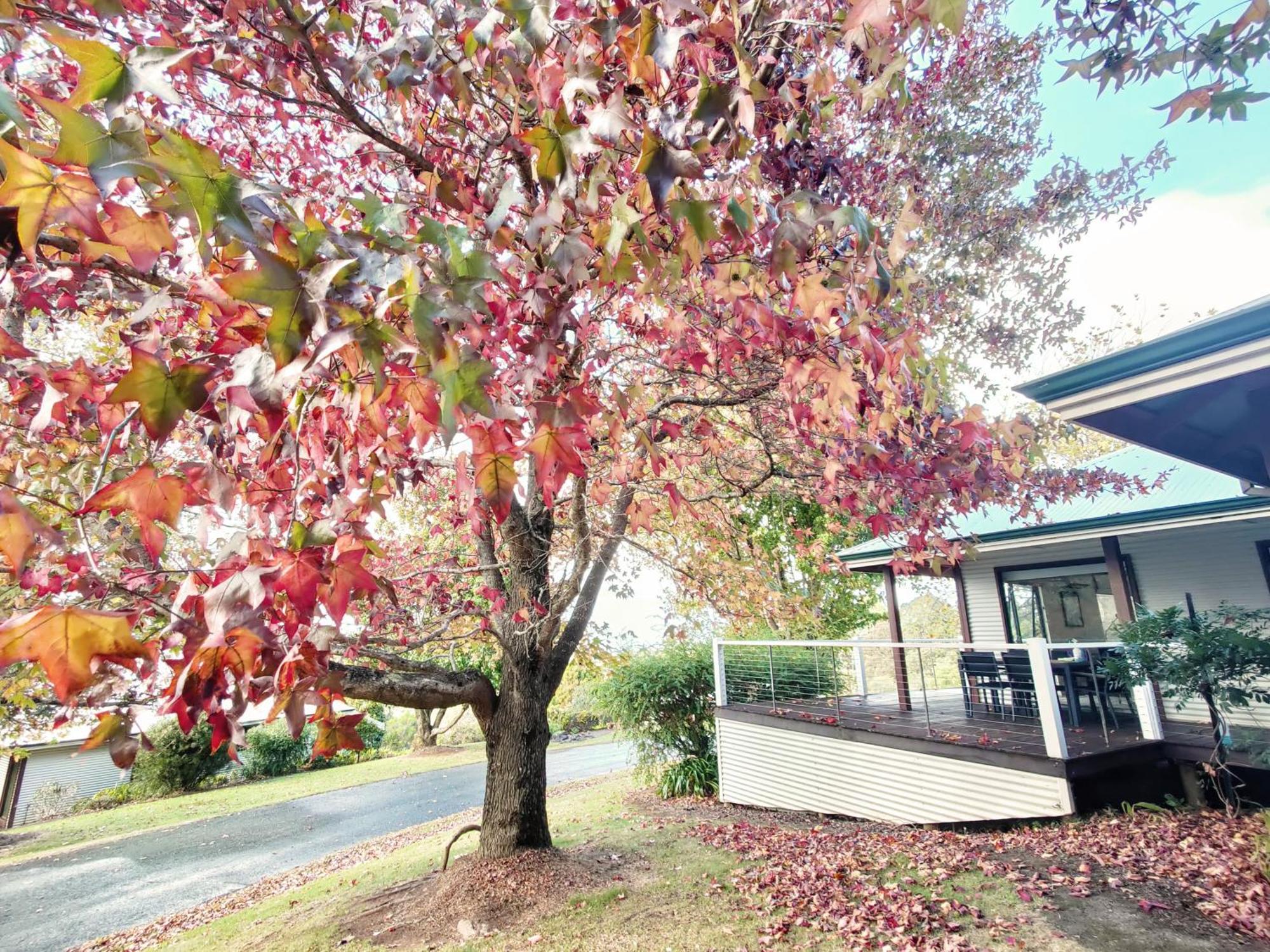 Karri Mia Chalets And Studios 덴마크 외부 사진